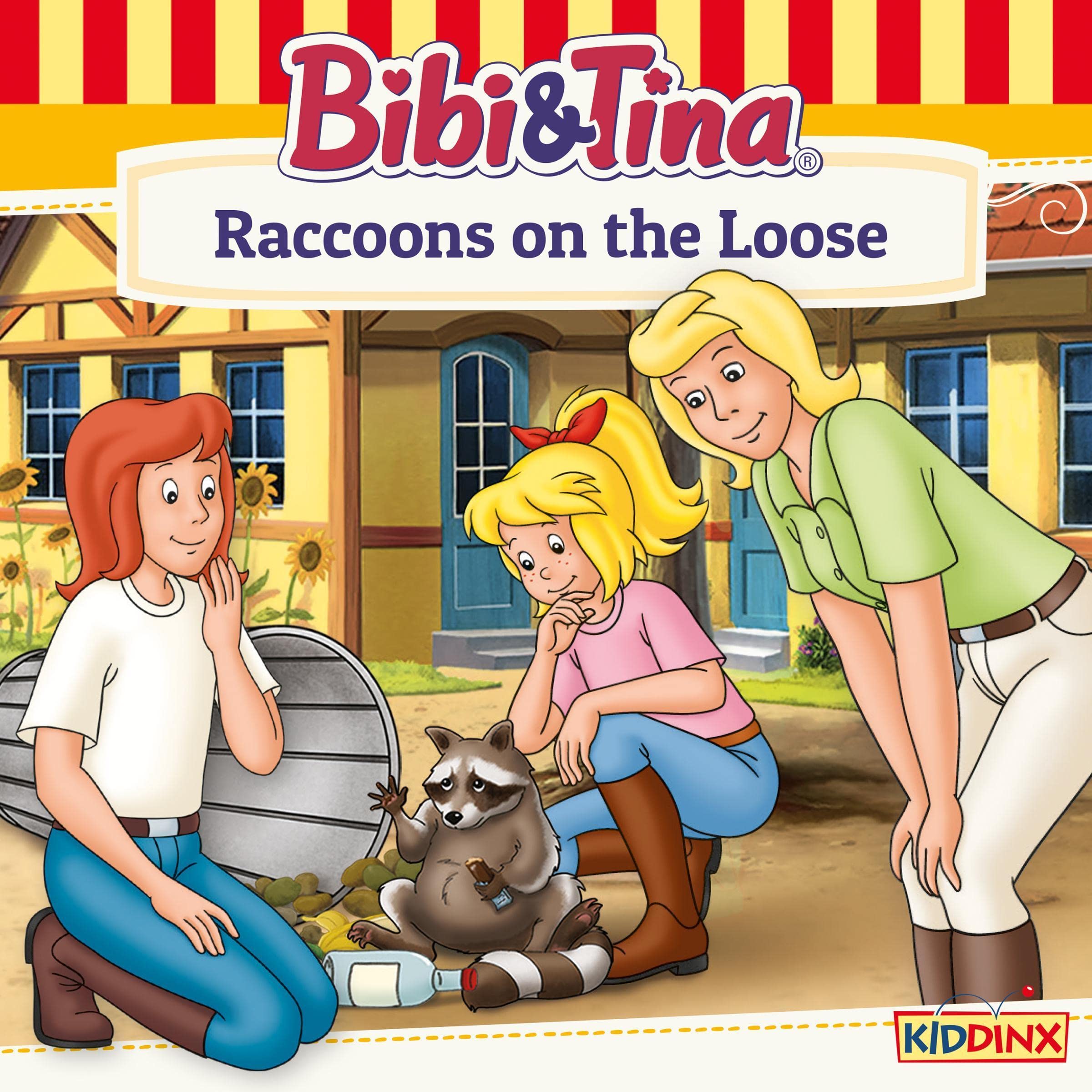 Cover art for Raccoons on the Loose