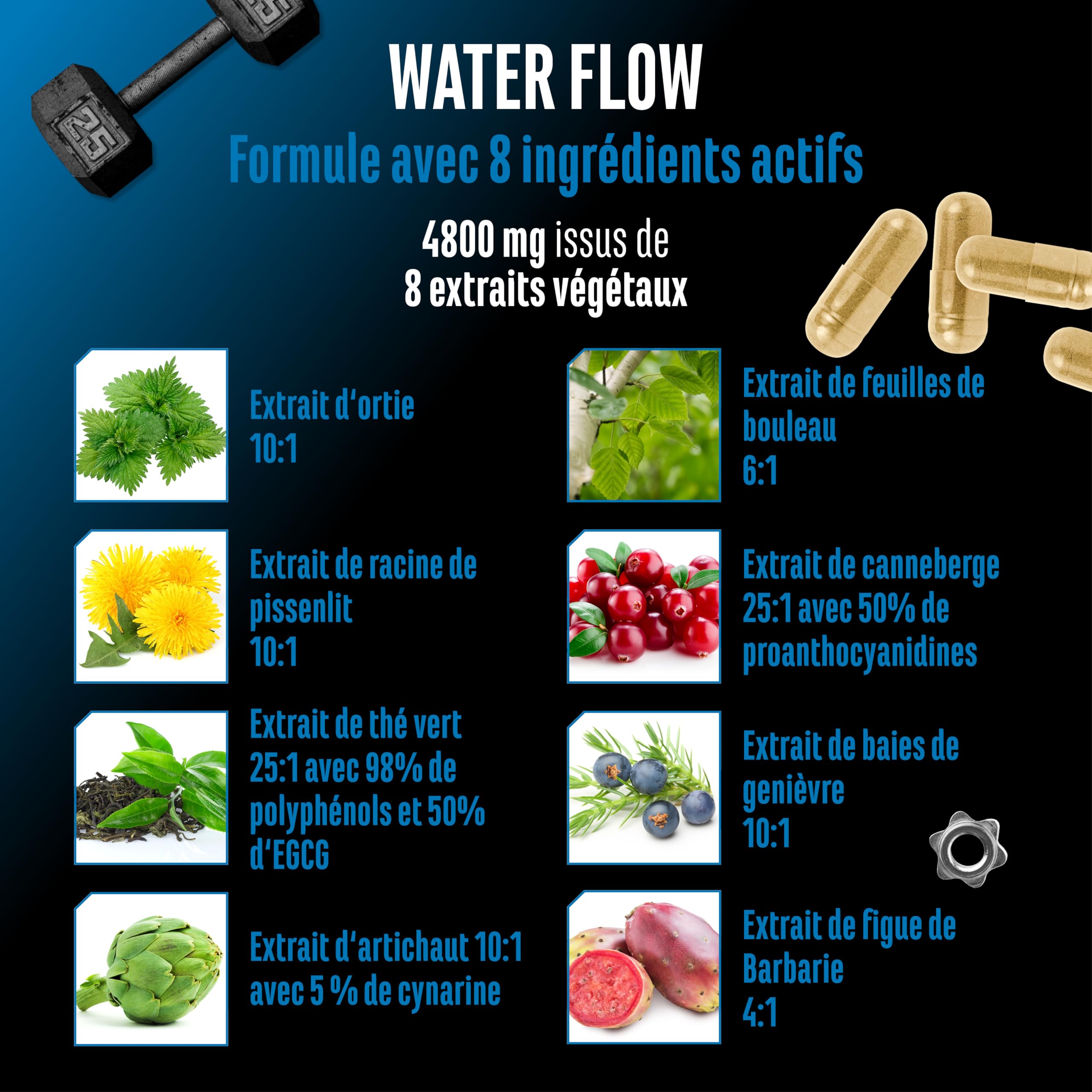 Water Flow Complexe - 180 capsules - Avec Ortie, Pissenlit, Thé Vert, Artichaut et Canneberge - Formule Végétale sans Comprimés Diurétiques Chimiques - Végan, Hautement Dosé