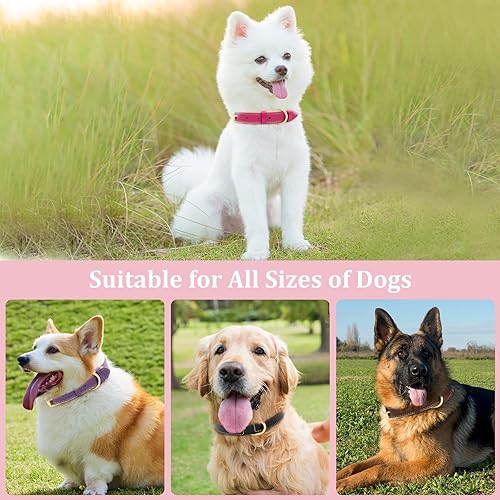 Miniatura 6 de HSIGIO Collar de perro de cuero genuino, collar de perro acolchado suave, collares transpirables y resistentes para mascotas con hebilla de metal