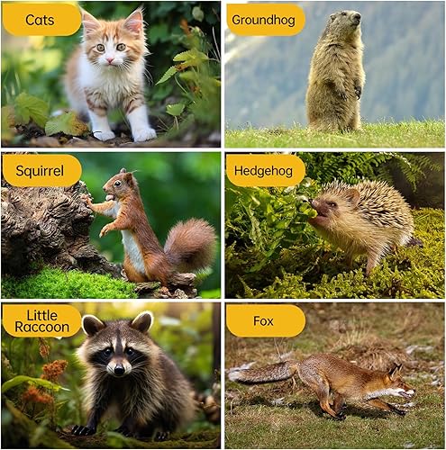 Miniatura 6 de Trampa para ratas, jaula de animales vivos, trampas para ratones sin matar, captura y suelta una, reutilizable, ratones, ardillas, ardillas,