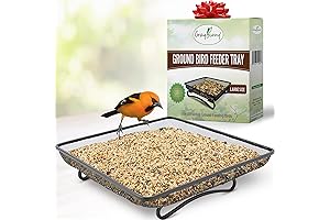Gray Bunny Bird Seed Tray: Feed Birds and Deter Squirrels