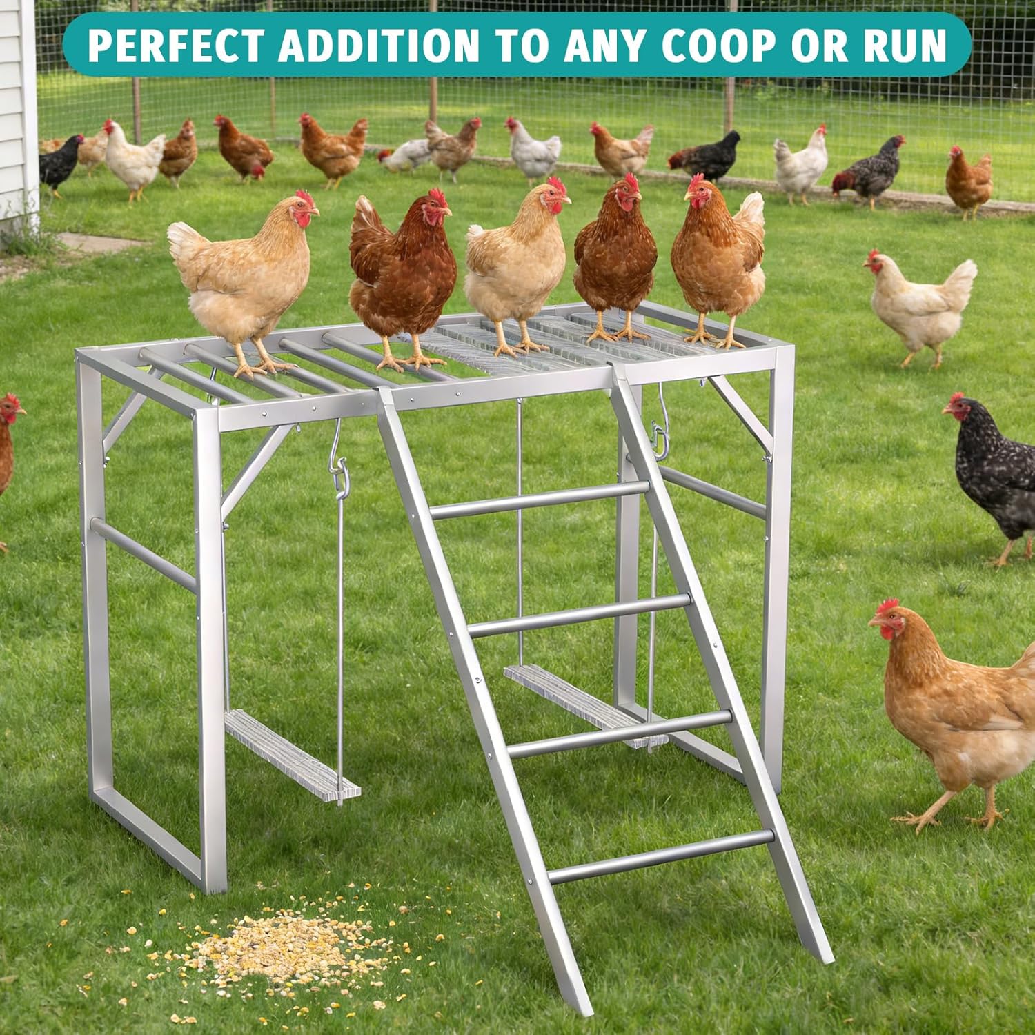 Chicken Swing Perch Set with Ladder - Backyard Chicken Coop Gym for Enrichment, Exercise, and Rest, Durable Metal Frame with Composite Wood Silvery