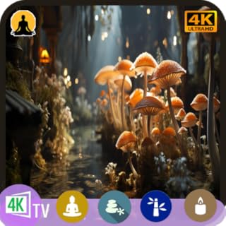 Magical Forest TV: 4K Enchanted Mushroom Ambience