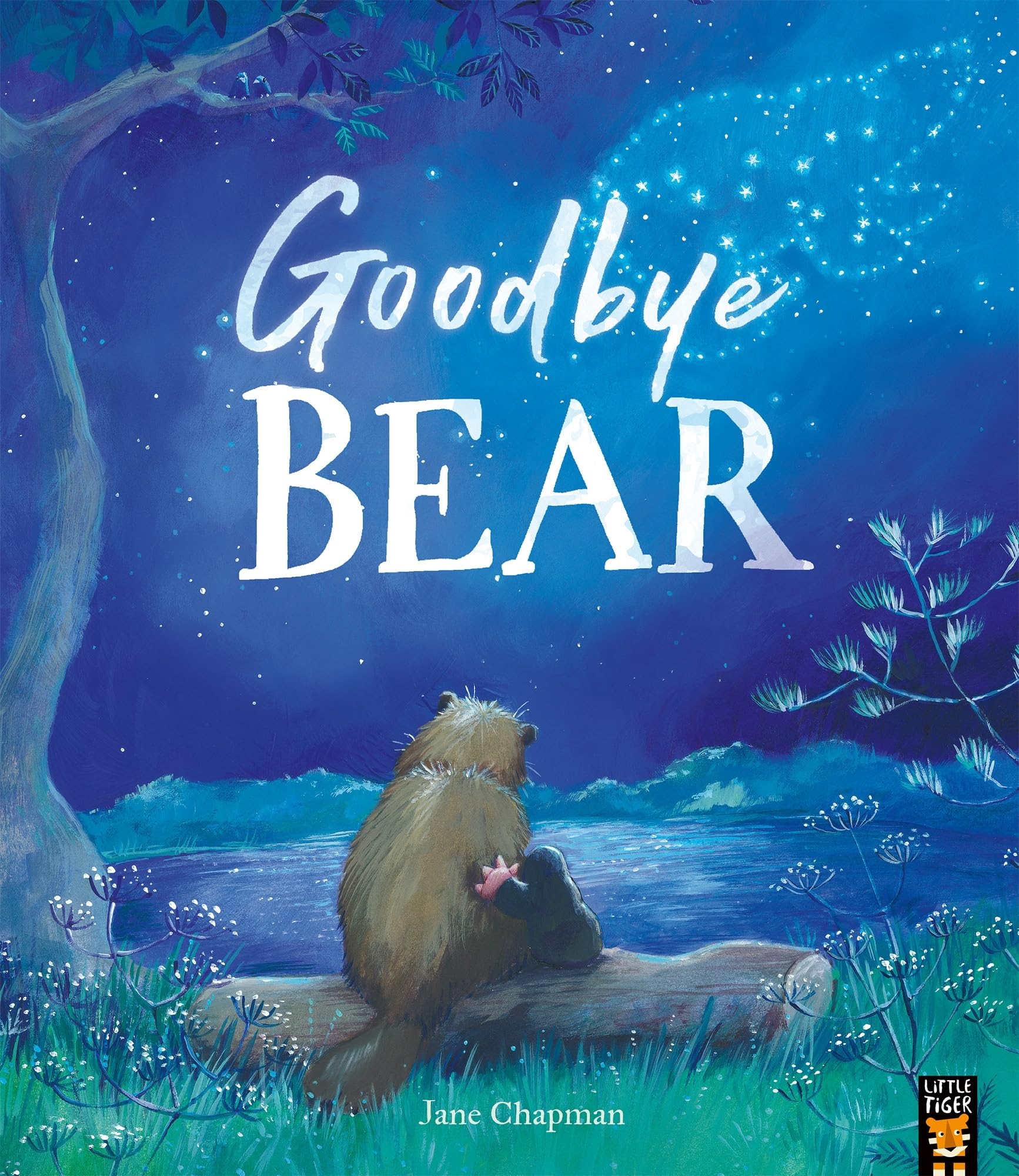 Goodbye Bear by Jane Chapman (Paperback Book)