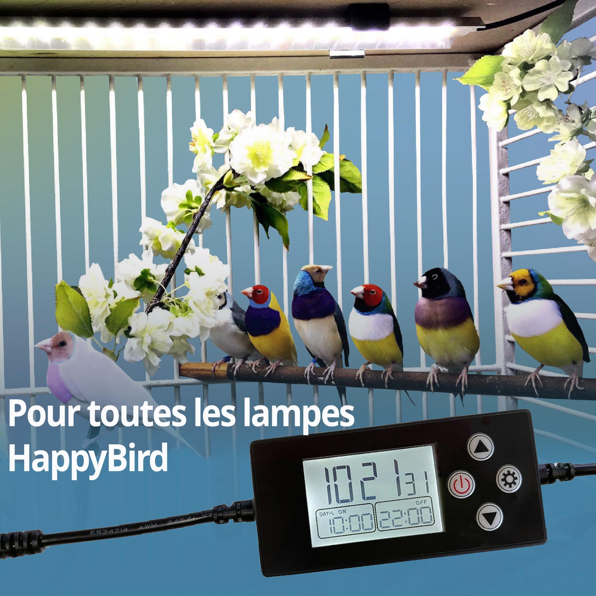 HappyBird Minuteur numérique | Minuteur programmable, fonction gradation progressive | Spécialement conçu pour les lampes à oiseaux | Régulation de la lumière particulièrement douce | Simule le lever