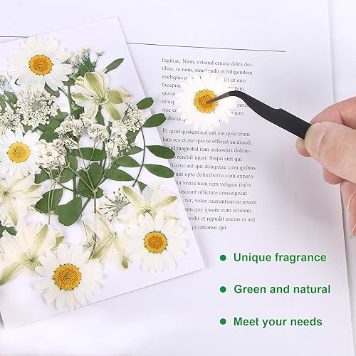 Vista 83 de Augshy 141 flores secas prensadas para resina, flores secas naturales reales prensadas para manualidades, moldes de resina, álbumes de recortes, 5