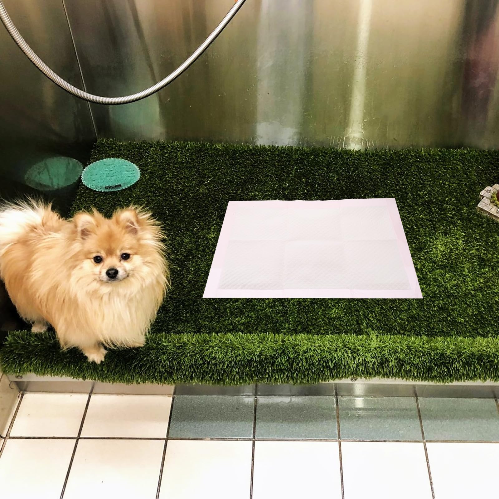 Générique 100 Pièces Tapis D'entraînement pour Animaux Ultra Absorbant | Non Tissé, Léger et Facile à Ranger, pour Chiot et Chien Âgé