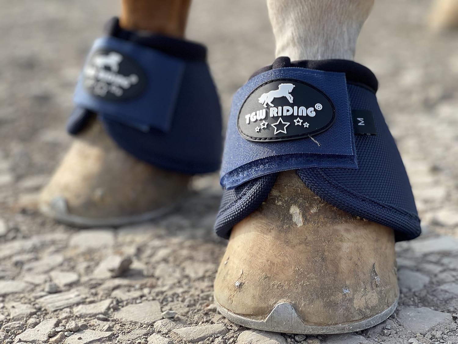 What Do Bell Boots Do For Horses at Sharon Williams blog