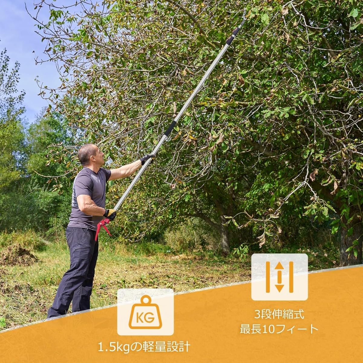 Amazon | Nicffdi高枝切りバサミ 3段伸縮式 伸縮 2m 3m 4m 5m 軽量 た