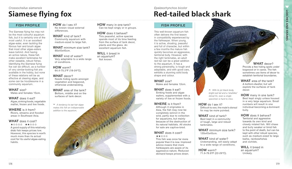 What Freshwater Fish?: A Buyer's Guide to Tropical Aquarium