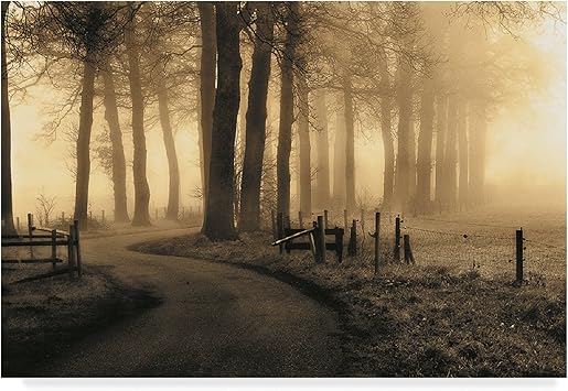 Trademark Fine Art Petra Oldeman Fine Art, Multicolor