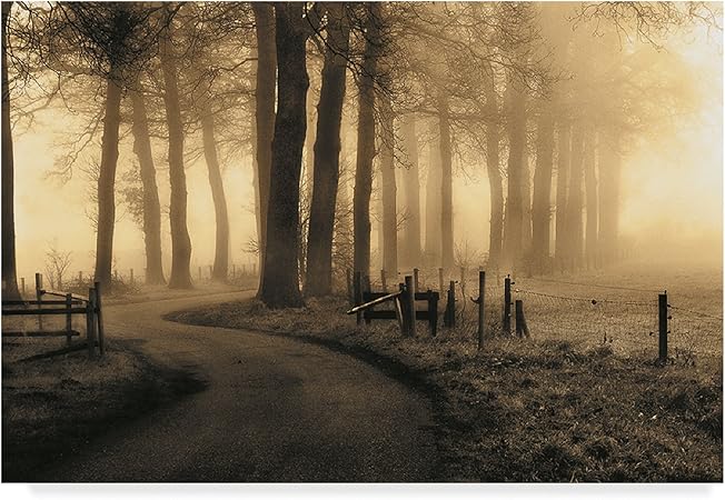 Trademark Fine Art Petra Oldeman Fine Art, Multicolor