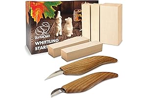 BeaverCraft S16 Bird Carving Kit for Beginners