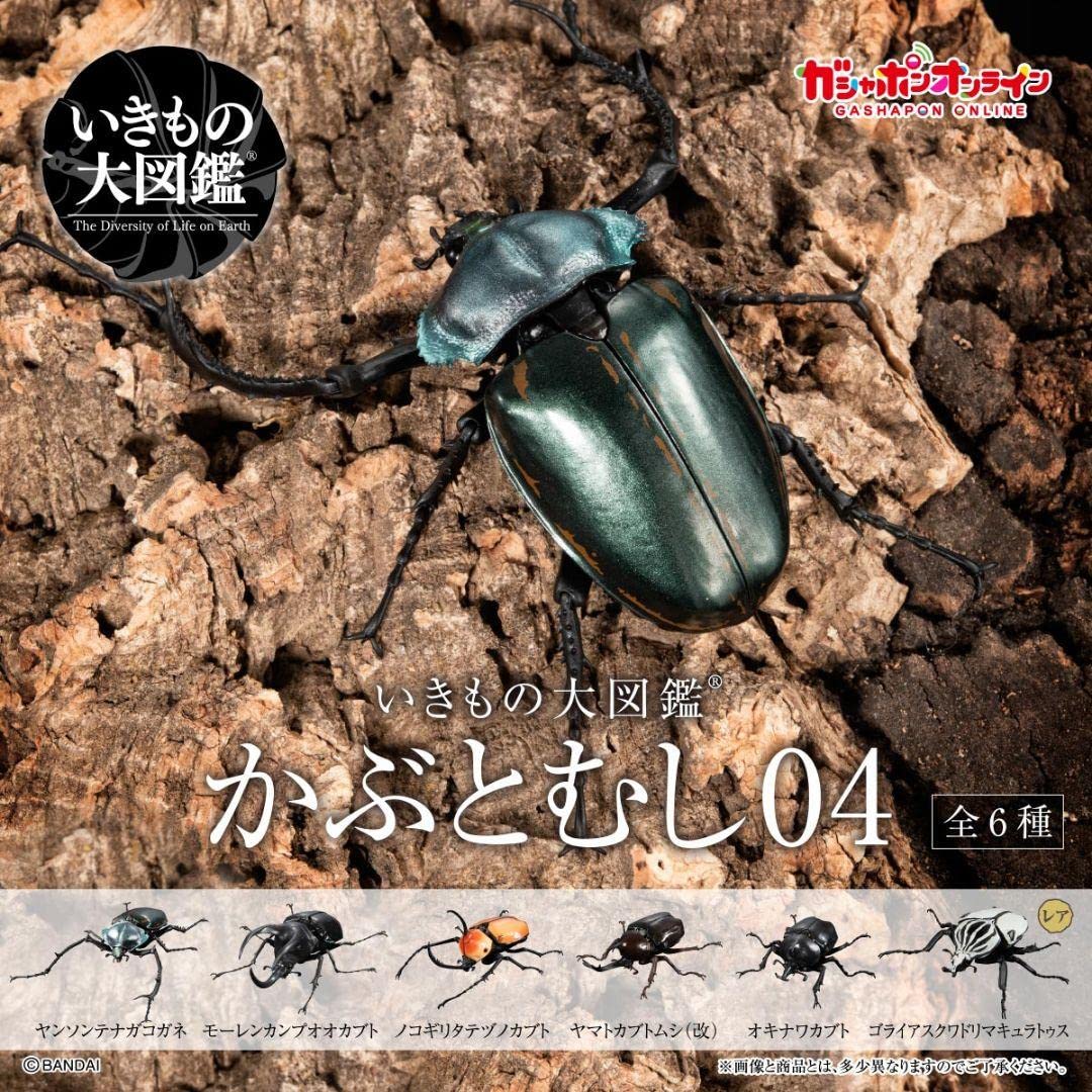 いきもの大図鑑　コンプリートセット いきもの大図鑑 ミニコレクション 昆虫01（6種類フルセット
