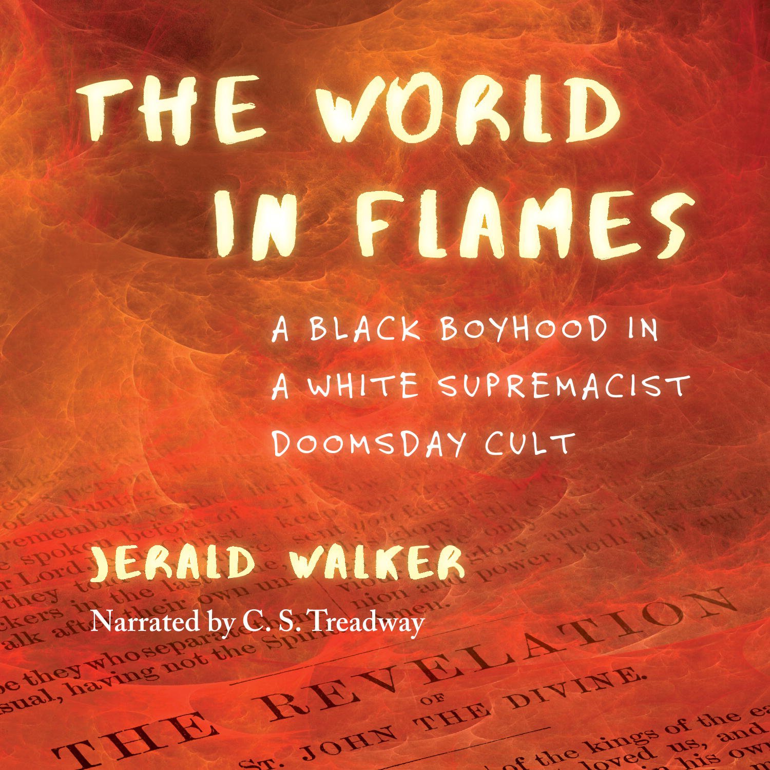 Cover art for The World in Flames