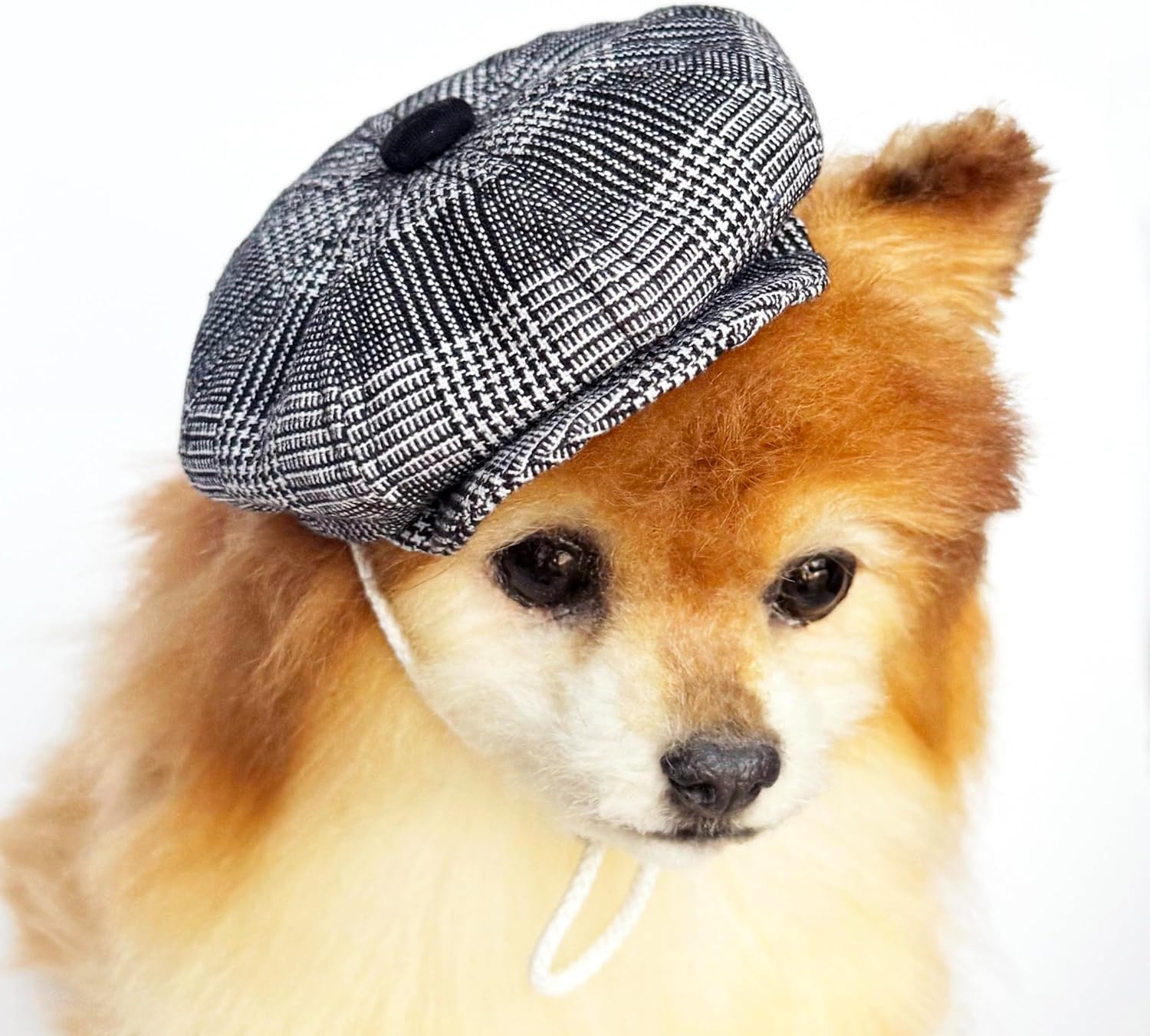 Handmade dog newsboy cap Beret for cats Flat caps for small dogs puppies (Small, Black Glen Check)