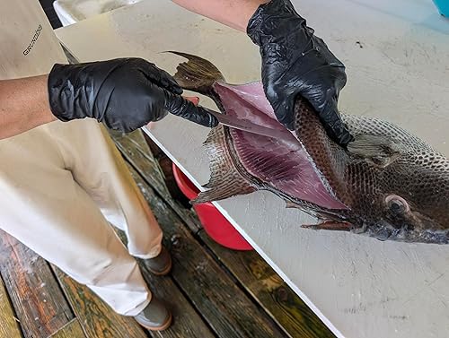 Vista 14 de Dexter Outdoors Dextreme Cuchillo de filete rígido de 10 pulgadas de doble filo Incluye funda