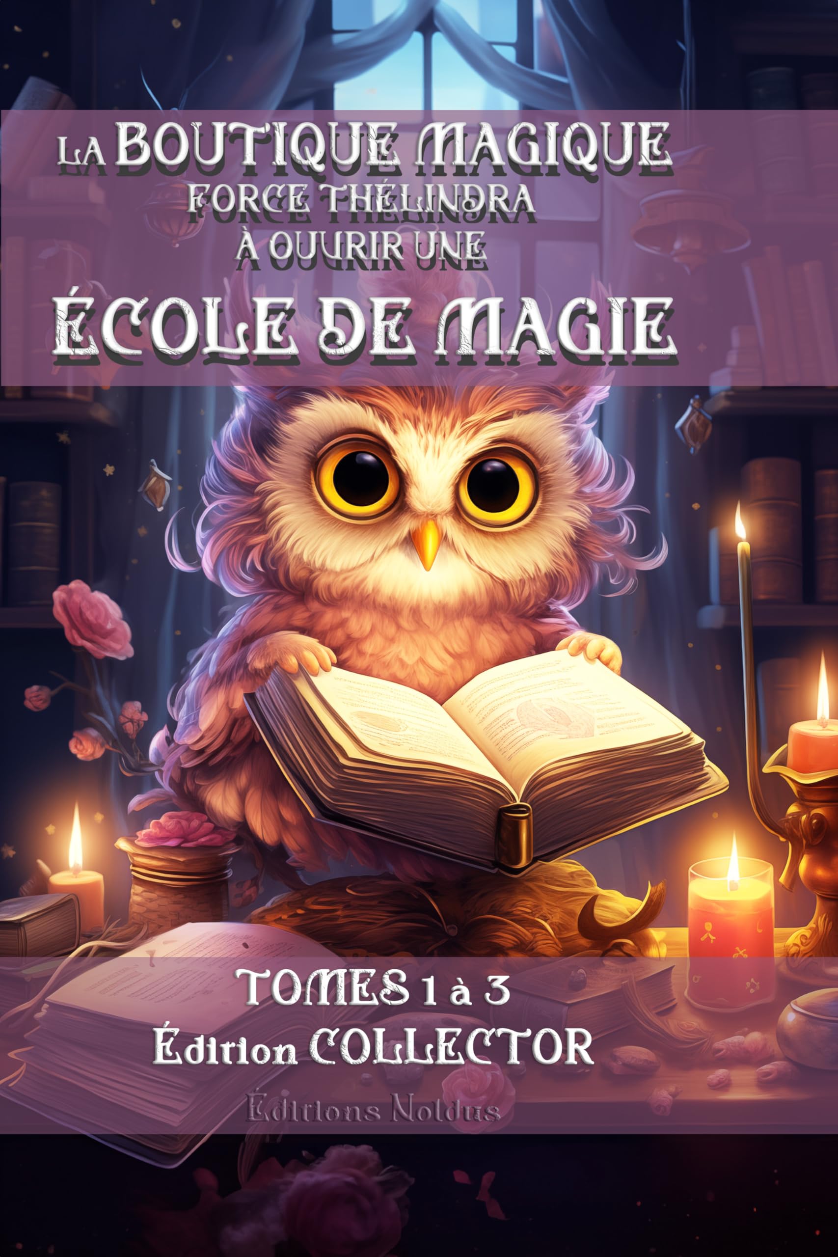 LA BOUTIQUE MAGIQUE FORCE THÉLINDRA À OUVRIR UNE ÉCOLE DE MAGIE - Édition Collector Tome 1, 2 et 3 DYS: LA BOUTIQUE MAGIQUE DE SAINT GEORGE + L'ÉCHO DE LA MAGIE + L'OMBRE AU SEIN DE LA LUMIÈRE