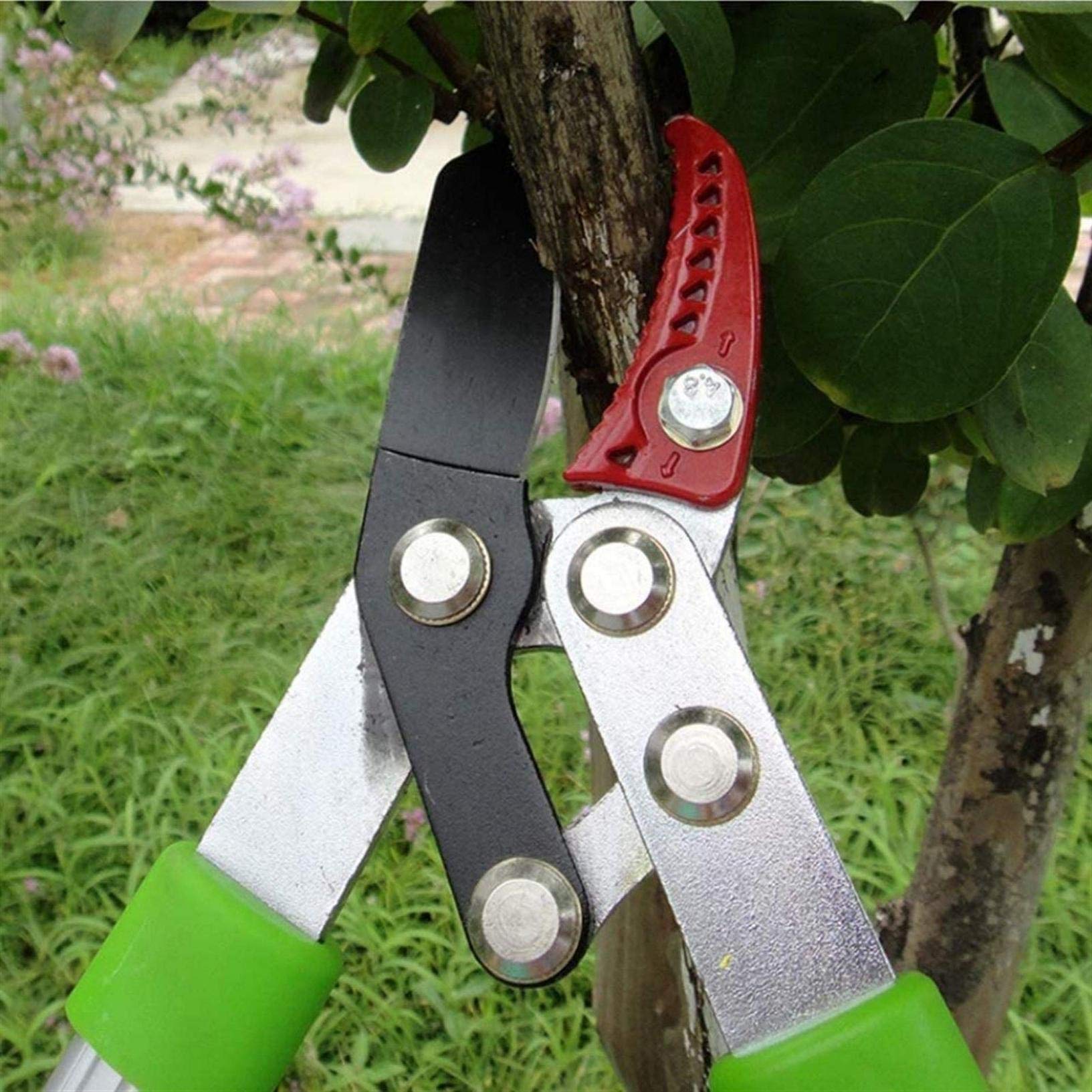Forbici da potatura, cesoie da giardino con manico lungo, forbici per rami spessi, forbici per rami da giardino, forbici ergonomiche, affilate e resistenti all'usura, utensile per potare arbusti