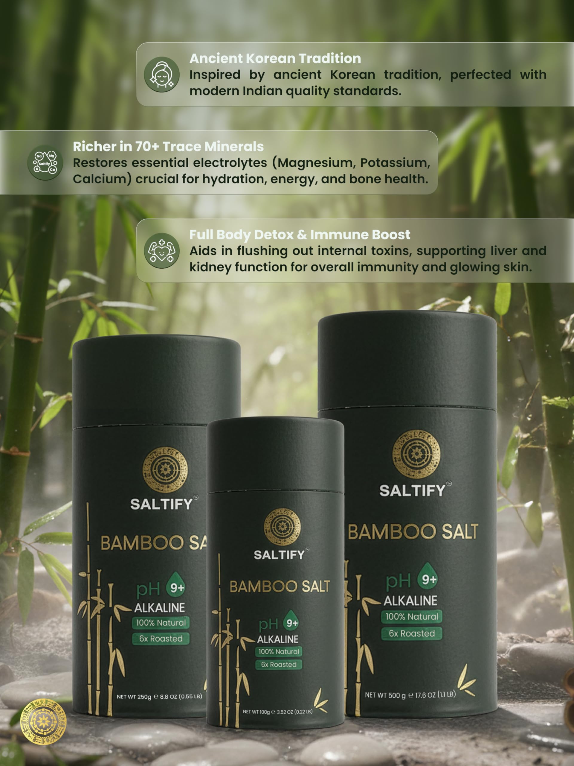 Saltify 6x Bamboo Salt | pH 9+ Alkaline | Six Times Roasted | Antioxidant | Anti-inflammatory | Natural Detox & Mineral-Rich Salt for Wellness | For Cooking | No Anti-Caking Agent | Powdered (500 g)