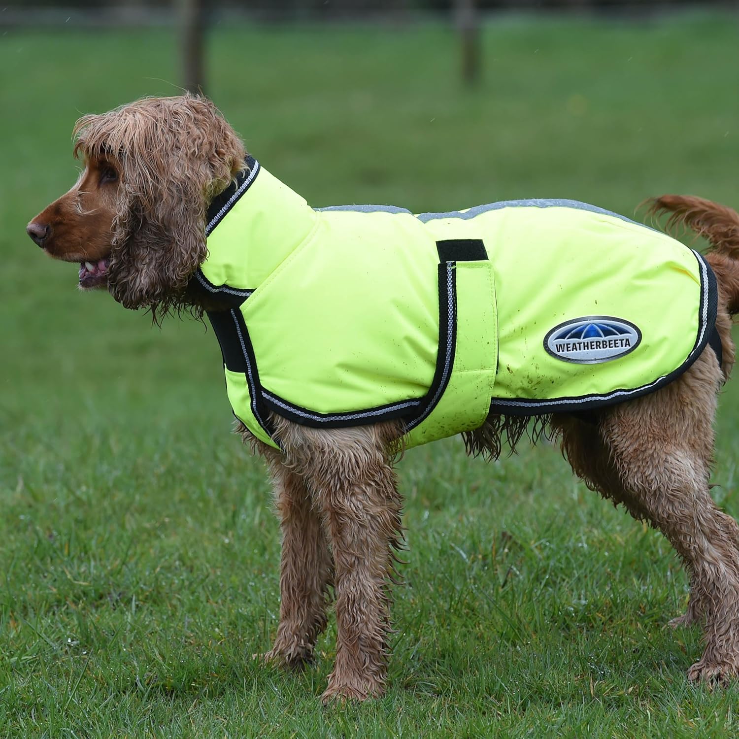 WeatherBeeta ComFiTec Reflective Parka 300D Deluxe Dog Coat, Yellow, 22"