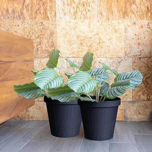 Miniatura 6 de Elly Décor Juego de 2 platos redondos de 12 pulgadas para macetas de riego automático, macetas con acabado similar a ratán, 12 x 12 pulgadas, color