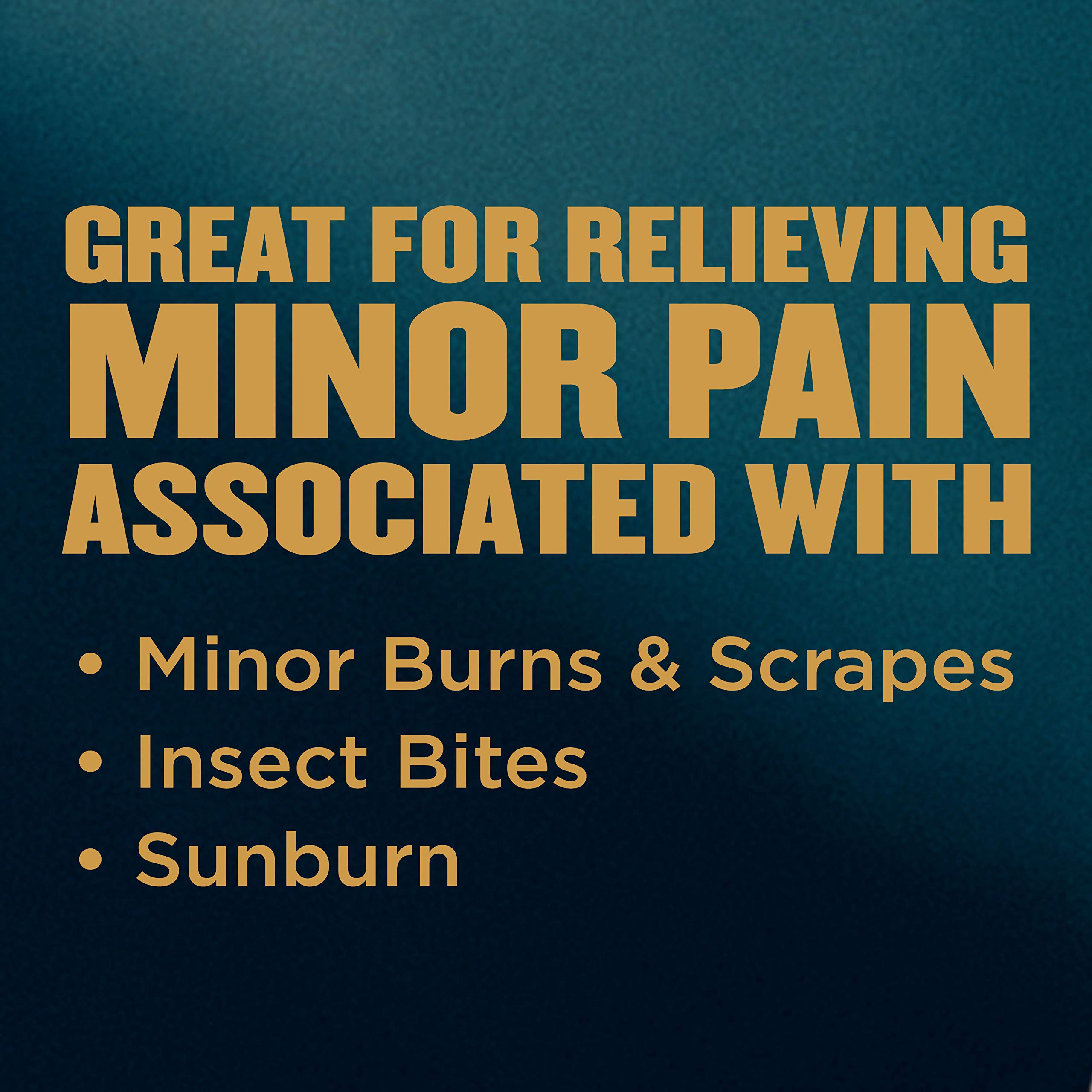 Gold Bond Medicated Extra Strength Body Lotion 14 oz. Triple Action Relief for Extra Dry, Itchy