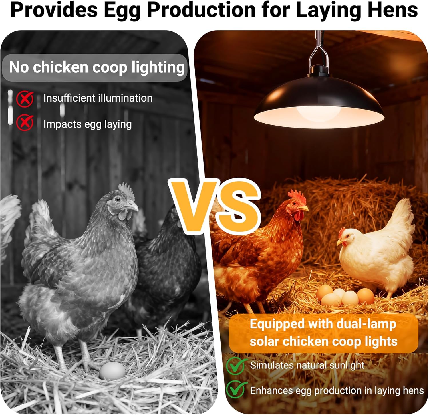 redaica Solar Chicken Coop Light with Timer, 2 Lamps & Remote 3/5/8H Chicken Coop Accessories, 3 Brightness Levels Solar Lights for Chicken Coop, Waterproof Light for Sheds Barns, Stables, Duck Houses