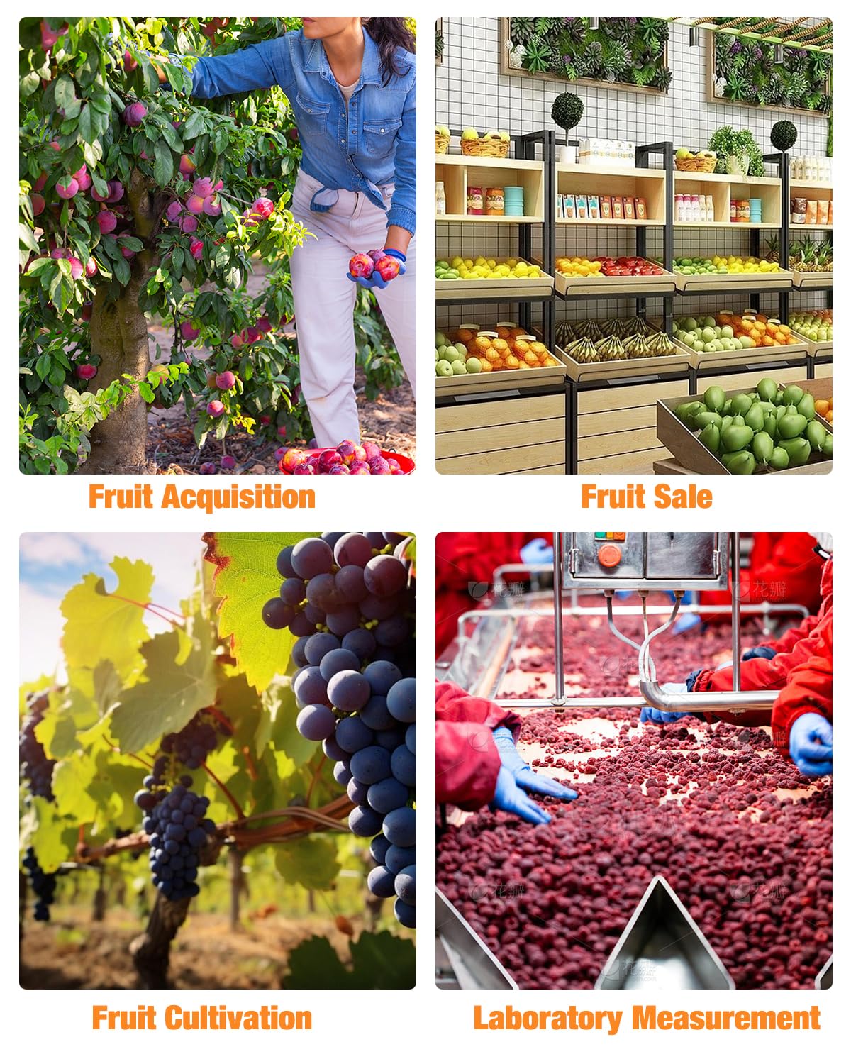 Digitaler Brix Refraktometer, Zucker Refraktometer Bereich 0-32% Brix ±0.2% Präzision Automatische Temperaturkompensation Elektronische Brix Obstzucker Messgerät für Obst, Säften, Gemüse