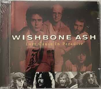 Amazon.com: Lost Cause in Paradise: CD 和黑膠唱片
