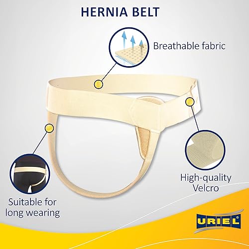 Miniatura 5 de Meditex para hernia inguinal Ingle, 1