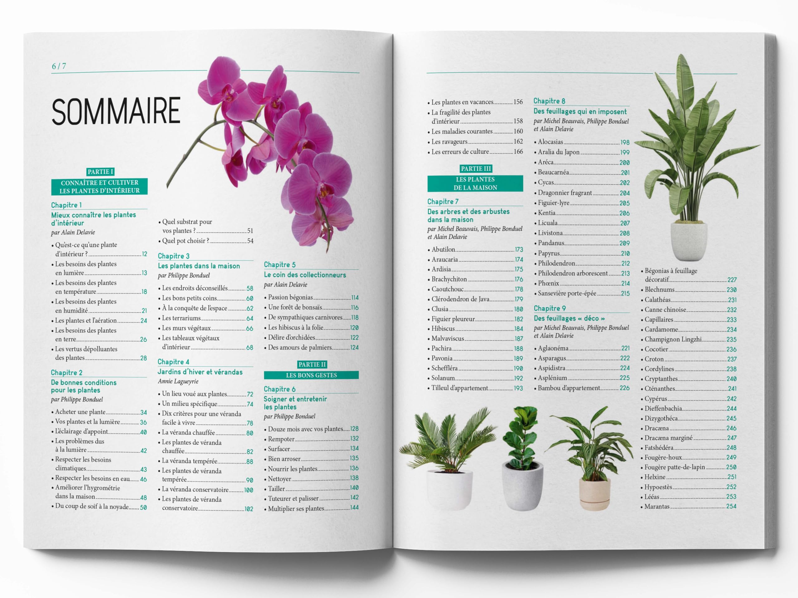 Le Traité Rustica des plantes d'intérieur