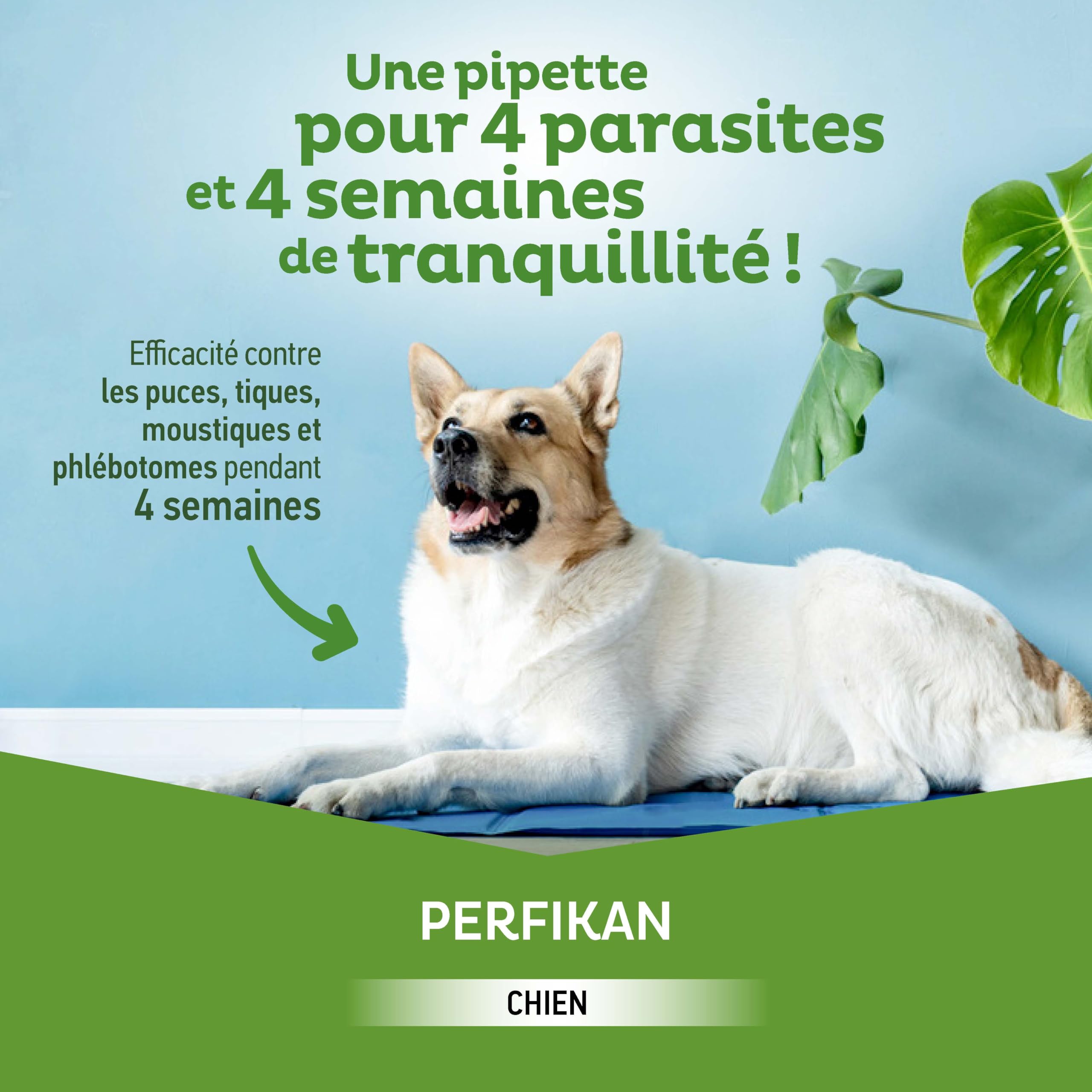Perfikan Petits Chiens Clément Thékan (4–10 kg) – 67 mg/600 mg – Anti-Puces, Anti-Tiques, Anti-Moustiques et Anti-Phlébotomes – Protège jusqu’à 4 semaines – Fabriqué en France – 4 pipettes Spot On