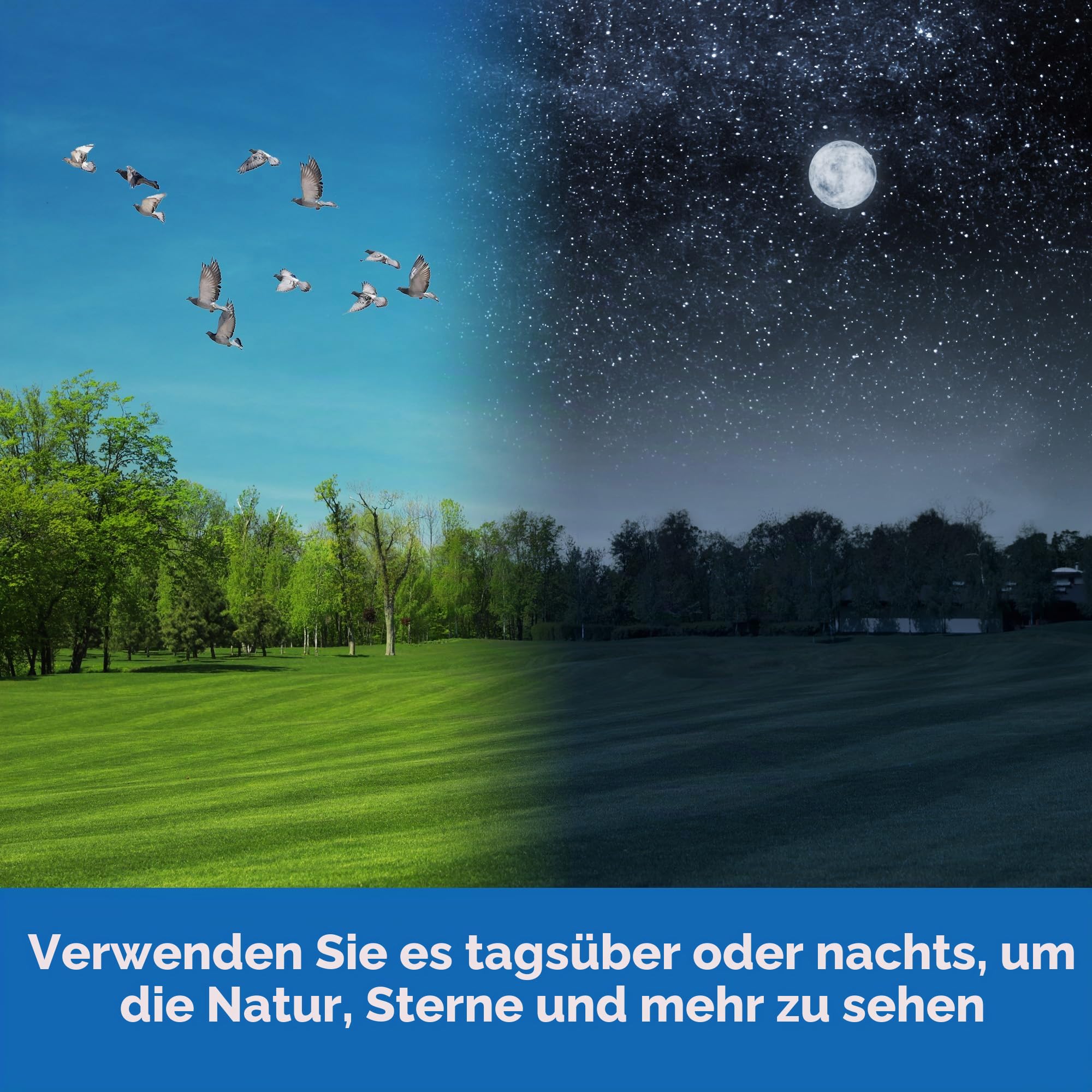 Educational Insights GeoSafari Vega 360 Teleskop: 50-mm-Linse, 20x-80x Vergrößerung, Tischstativ, für Kinder ab 8 Jahren, unisex, Anfänger, Mehrsprachige Anleitung, Kinder, Wissenschafts-Enthusiasten