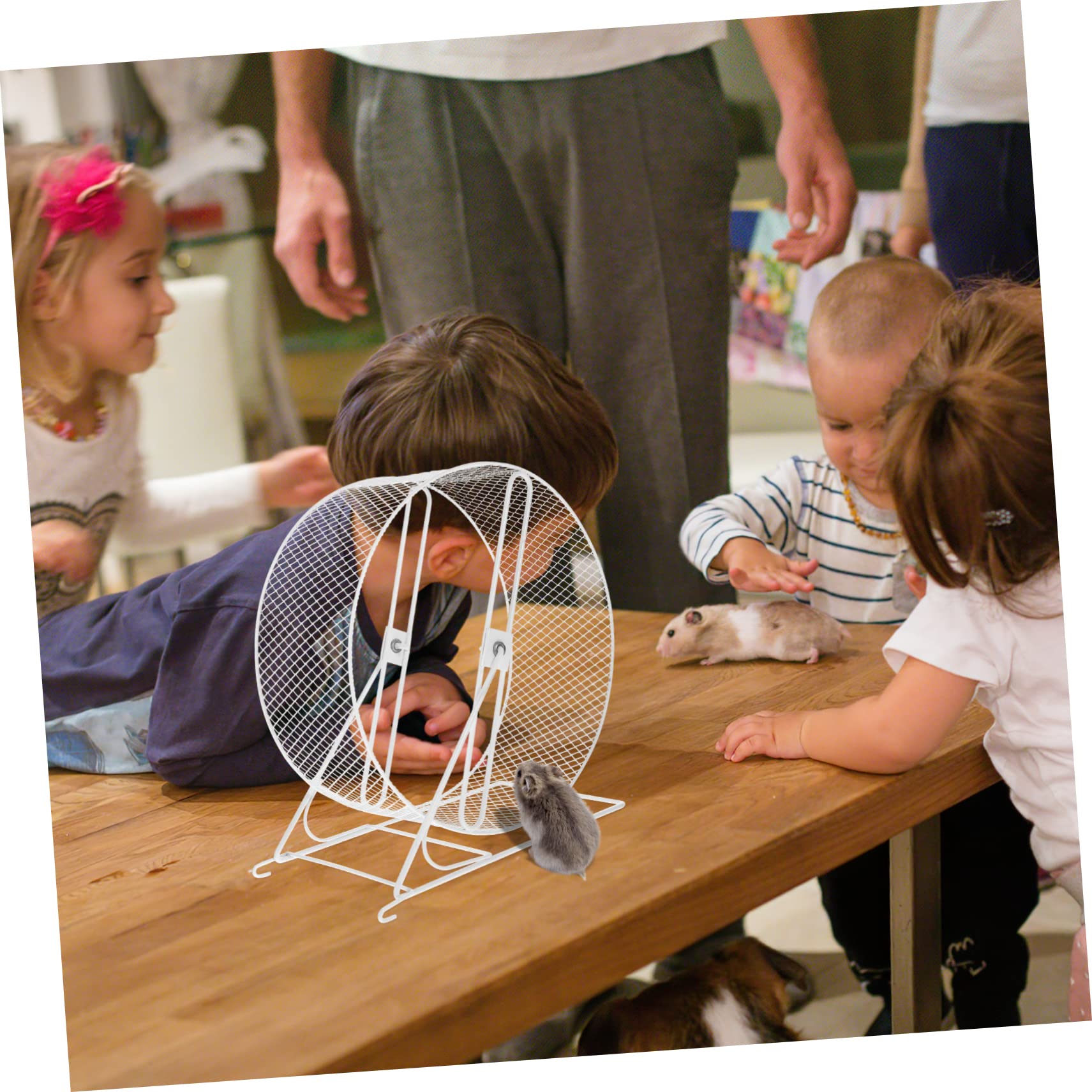 Roue Hamster Silencieuse Jouet à Roue d'Écureuil en Fer Blanc Rack | Roue d'Exercice pour Hamster, Jouet pour Hamster, Accessoires pour Hamsters, pour Petits Animaux