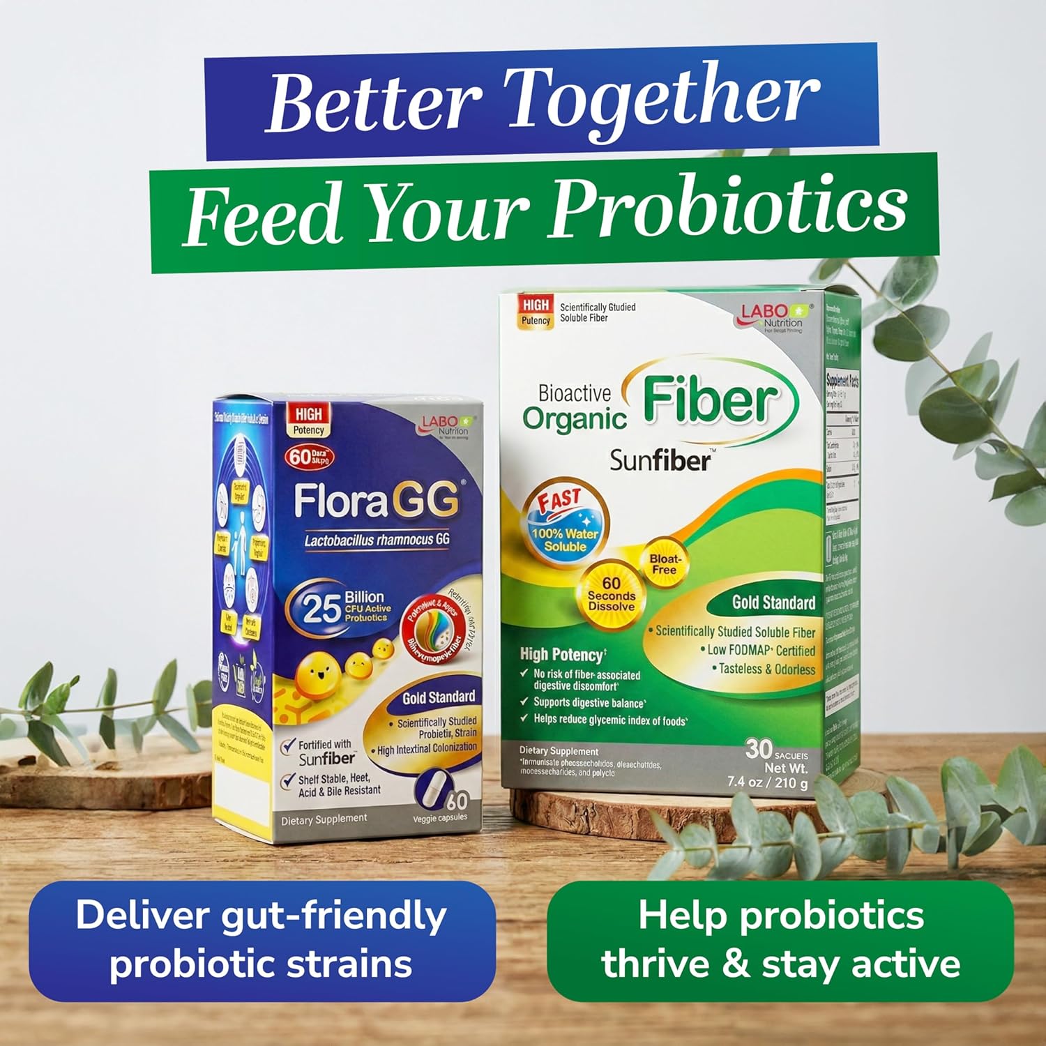 LABO Nutrition FloraGG Lactobacillus Rhamnosus LGG 25 Billion CFU Daily (LGG Probiotic with Sunfiber) 5-Layer Microencapsulated L. Rhamnosus Supplement | Digestion & Immune Support | 60 Capsules