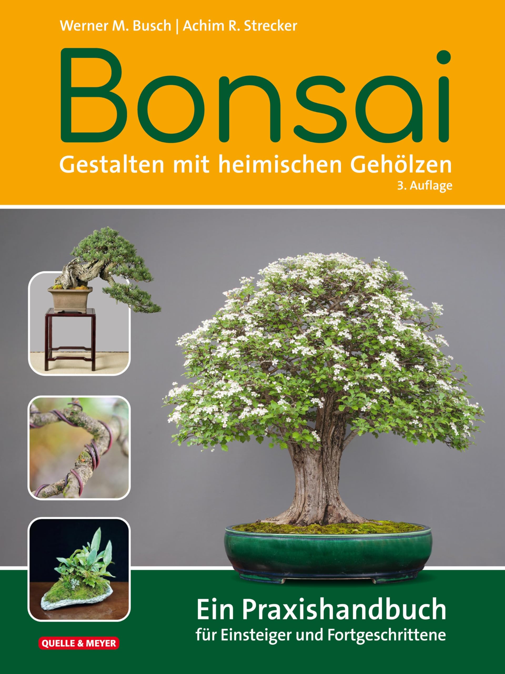 Bonsai - Gestalten mit heimischen Gehlzen: Ein Praxishandbuch fr  Einsteiger und Fortgeschrittene : Busch, Werner M., Strecker, Achim R.:  Amazon.de: Bcher