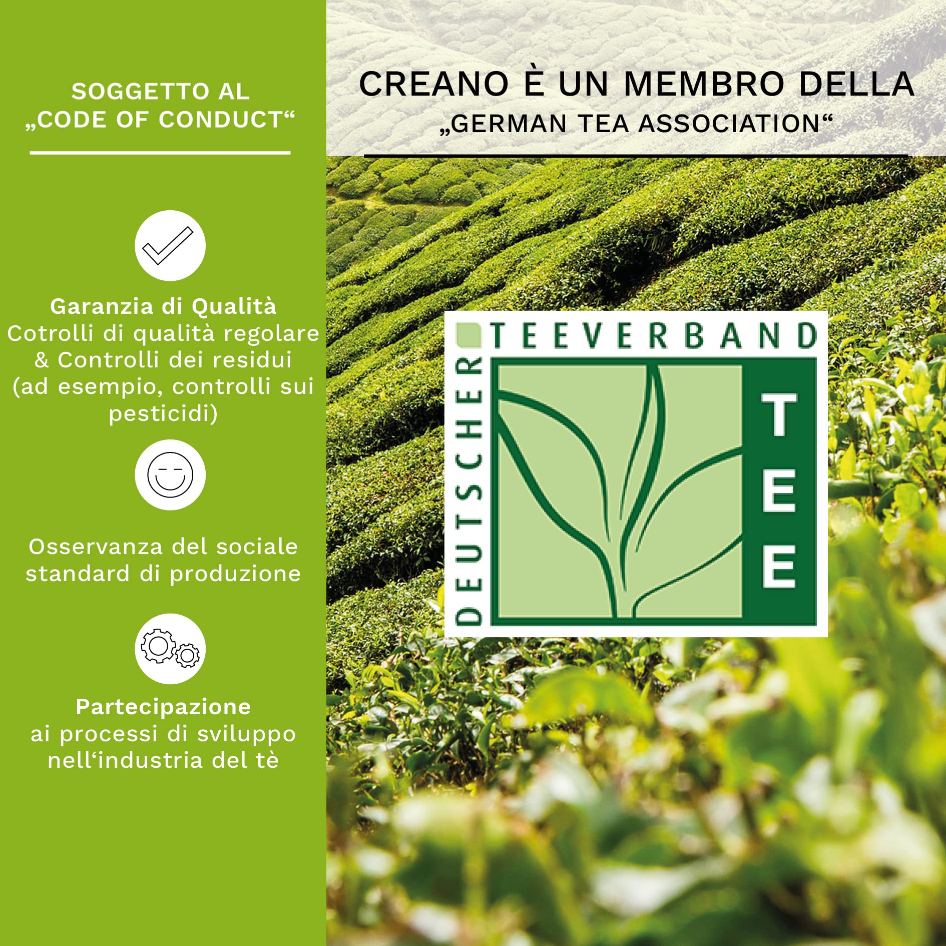 Set regalo di fiori di tè - tè verde - in una nobile scatola magnetica con finestra e goffratura argento 18 x Tè verde