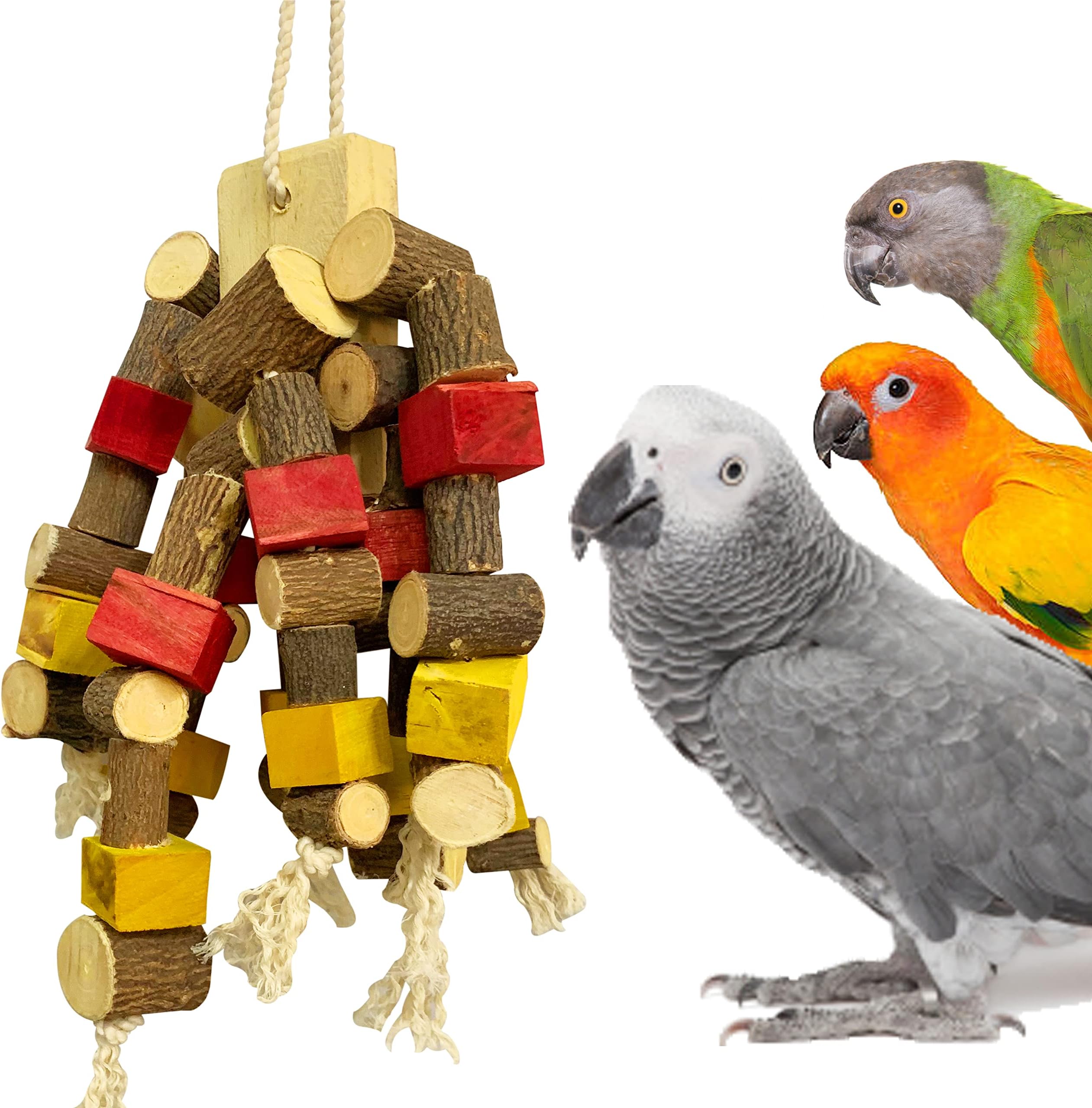 Congo - Natural Parrot Treat 55X24 Cm Premium Non-Toxic Edible Colored Chewing Toy for Conures, Senegal, Amazon, African Grey, Macaws, Cockatoo, Eclectus and Other Birds|Piece of 1
