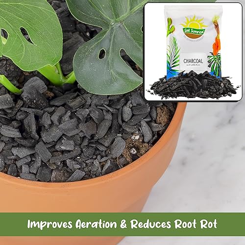 Miniatura 4 de Soil Sunrise Carbón hortícola para plantas de interior (4 cuartos de galón) Aditivo para suelos de madera dura para orquídeas, terrarios y jardinería