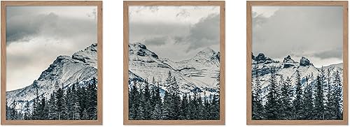 Miniatura 49 de Poster Master Póster de ilustración vintage de 3 piezas, impresión botánica retro, arte de pared sin marco de 8 x 10 pulgadas, regalo para artista,