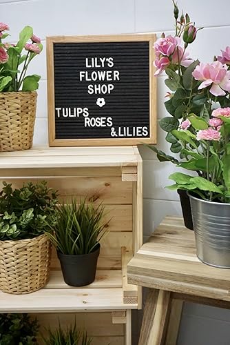 Miniatura 5 de Tablero de letras 10x10, fieltro negro intercambiable, 330 caracteres, incluyendo emojis + bolsa