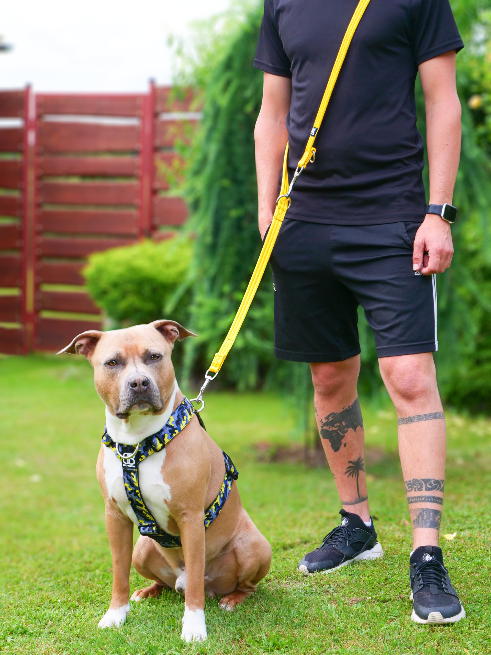 BullyBillows Laisse multifonction à double extrémité pour chien - Longueur moyenne ou longue - Pour le travail d'obéissance ou l'entraînement à distance - Kaki