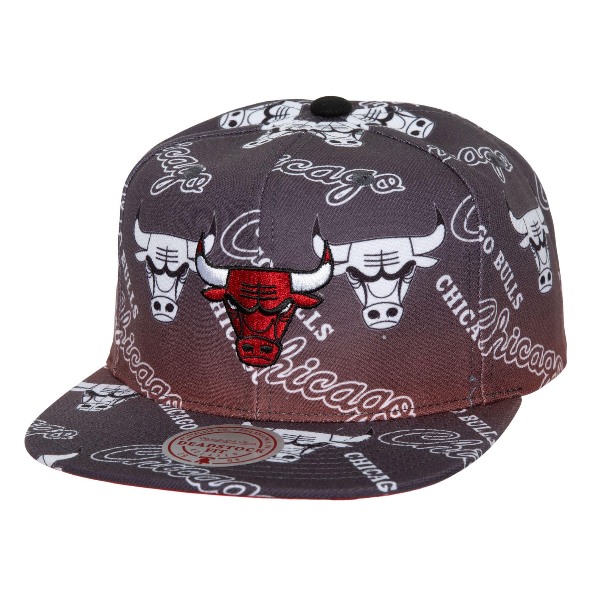 Mitchell & Ness NBA Destination Leisure Deadstock Cap Chicago Bulls, gray, One Size