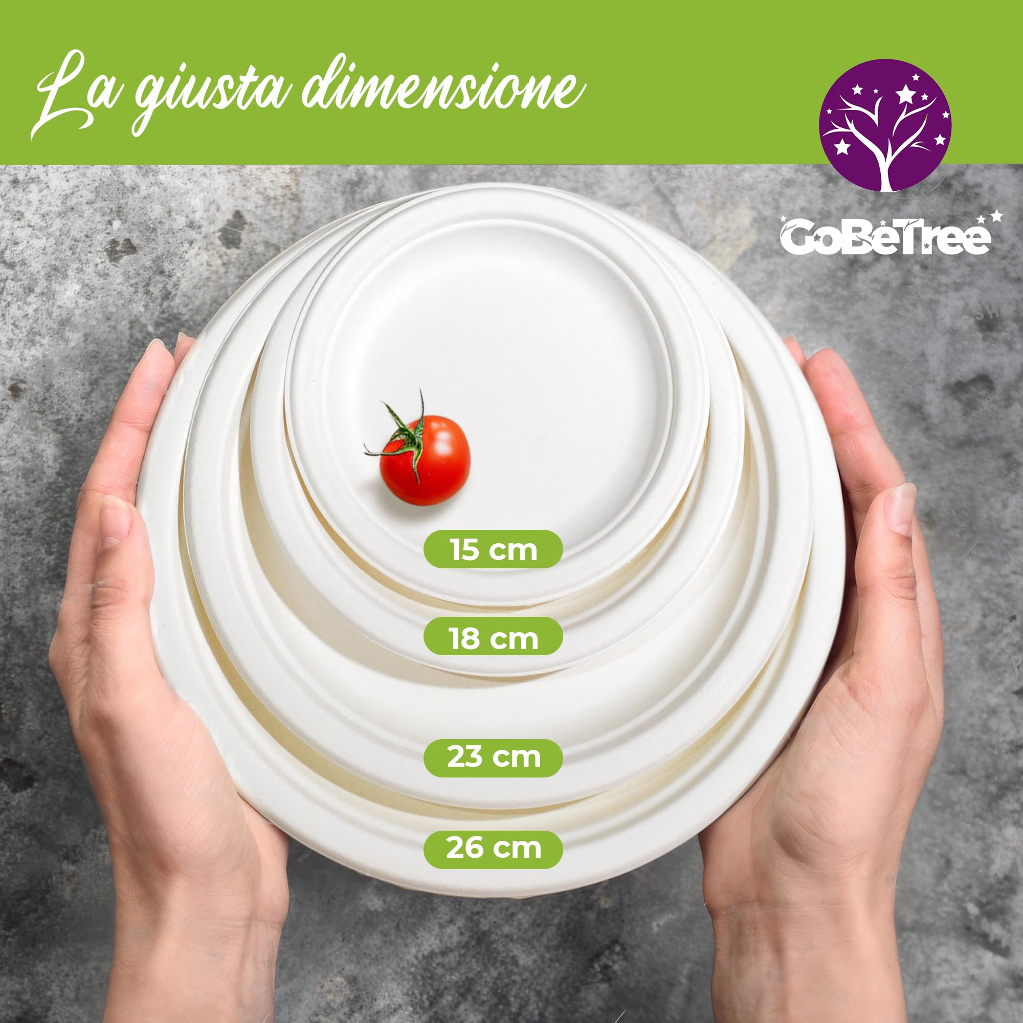 GoBeTree 100 Piatti Monouso Rotondi in Canna da Zucchero da 26 cm Bianchi. Piatti di Carta Usa e Getta Extra Resistenti, per Campeggio, Picnic, Feste, Barbecue, Compleanni.