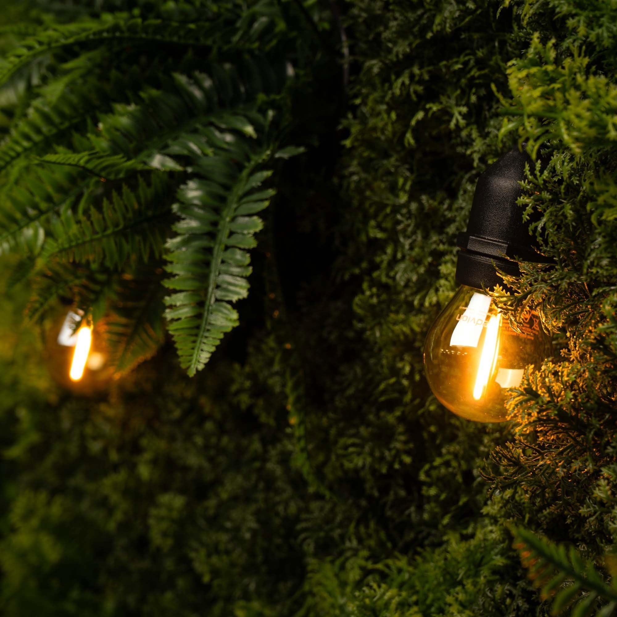 Ledvion - Guirnalda LED, 15 Metros, E27 LED, Incluye Enchufe, Iluminación para Jardín