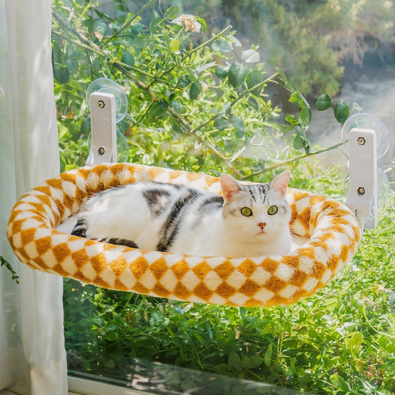 MEWOOFUN Katzen Hängematte Fensterplätze für Katzen 60x30cm Klappbar Katzenbett Fenster mit
