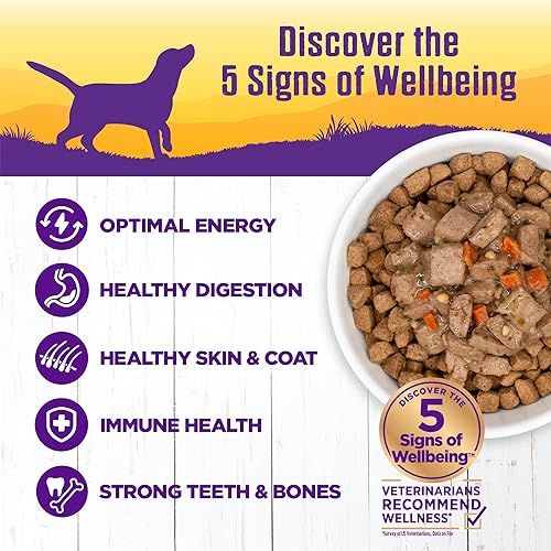 Miniatura 10 de Wellness Complete Health Natural Wet Just for Puppy Food Chicken  Salmon Pate 12 Pack of 125 Ounce Cans