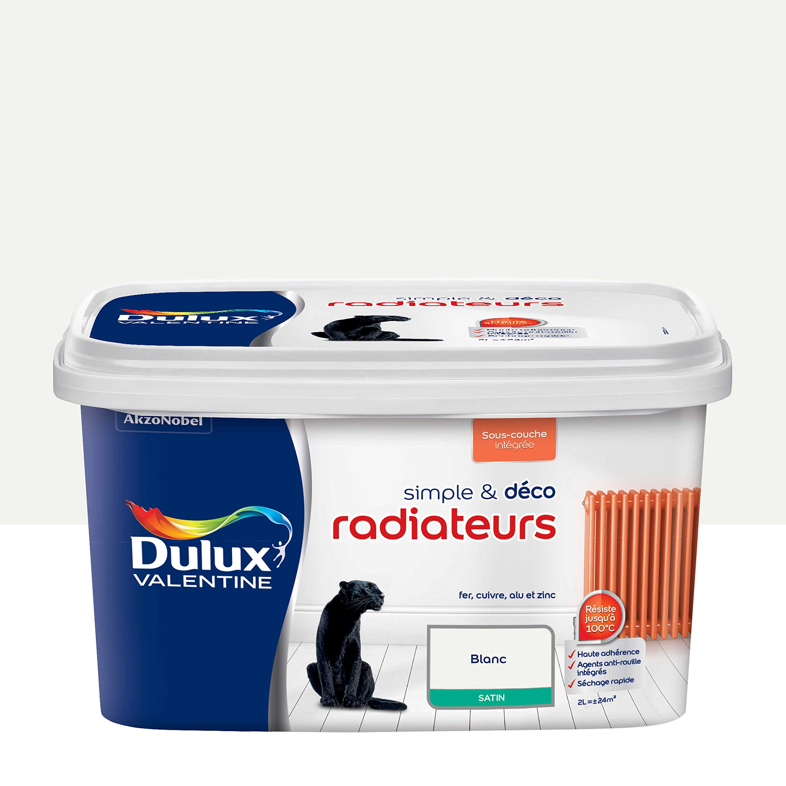 Peinture Radiateurs Blanc