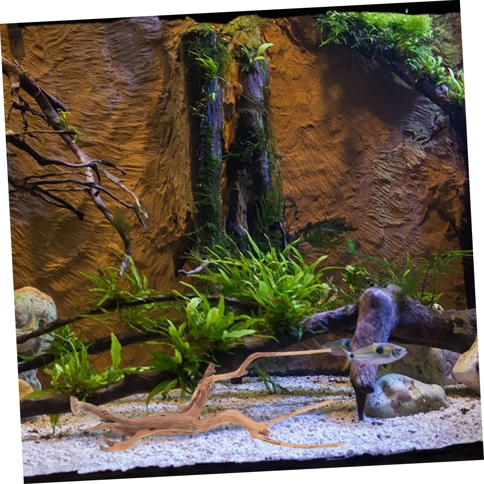 3piezas Decoraciones Naturales para Acuario Driftwood para Peceras y Terrarios Ornamentos para Reptiles Aleatorios